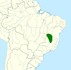 Campylopterus calcirupicola map.svg