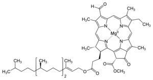 Chlorophyll d structure.svg