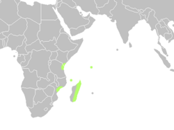 Map showing distribution of Cycas thouarsii: Madagascar, Comoros, Kenya, Tanzania and Mozambique