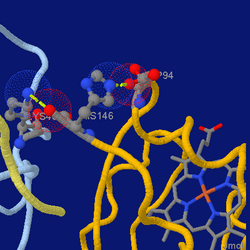 Jmol screenshot hemoglobin.png