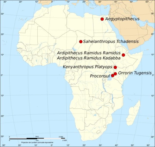 File:Map of the fossil sites of the earliest hominids (35.8-3.3M BP).svg