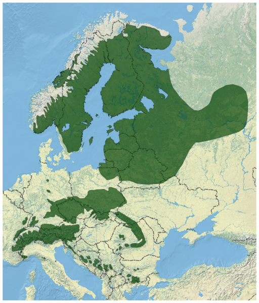 File:Norway Spruce Picea abies distribution map 2.png