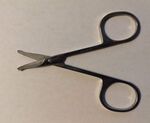 Nose scissors.jpg