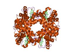 PDB 1o1o EBI.jpg