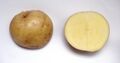 Potato cv Nishiyutaka.jpg