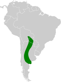 Rhinocrypta lanceolata map.svg