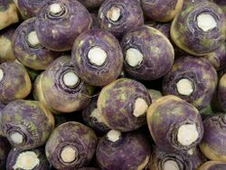 Swede - rutabaga - veggiegroup.jpg