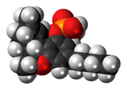 Space-filling model of the THC-O-phosphate molecule
