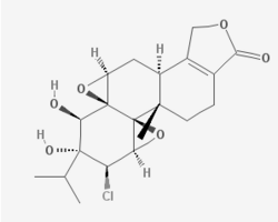 Tripchlorolide.png