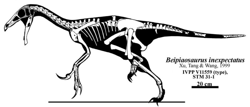 File:Beipiaosaurus skeletal Headden.jpg