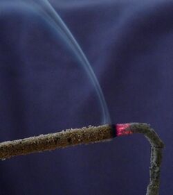 Burning Incense.jpg