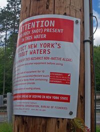 A red and white sign on a telephone pole seen in closeup from one side. The text that is visible describes rock snot and advises anglers how to control it