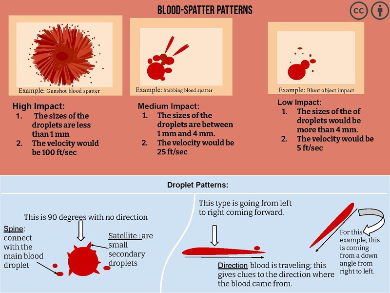 File:Examples of Blood-Spatter and Droplet patterns.pdf