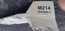 M214 ГЕPAНЬ-2 drone remnants near Kupiansk, Kharkiv region (1).jpg