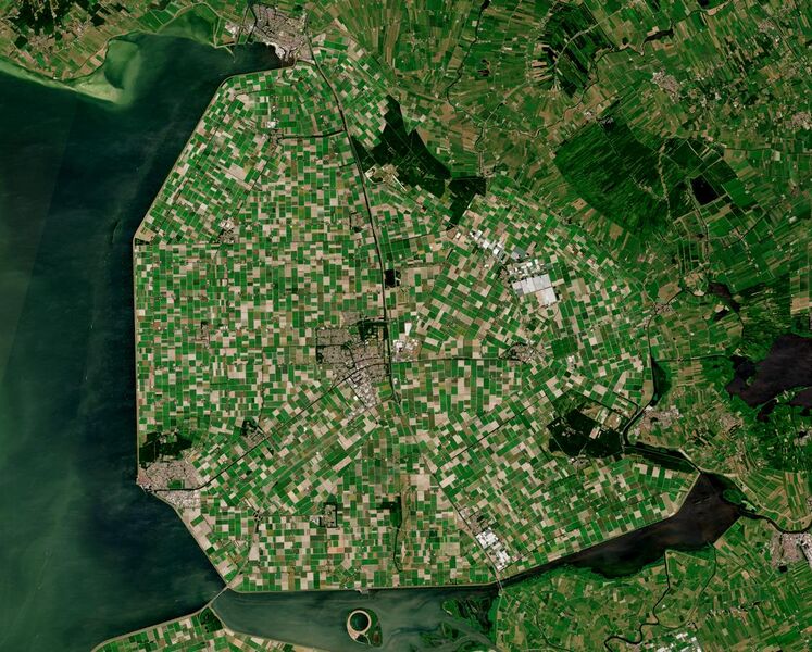 File:Noordoostpolder by Sentinel-2, 2018-06-30.jpg