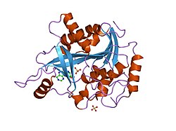 PDB 1pf7 EBI.jpg