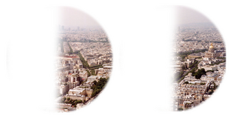 Paris as seen with left homonymous hemianopsia.png