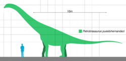 Petrobrasaurus Scale.svg