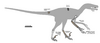 Pyroraptor fossil 01.png