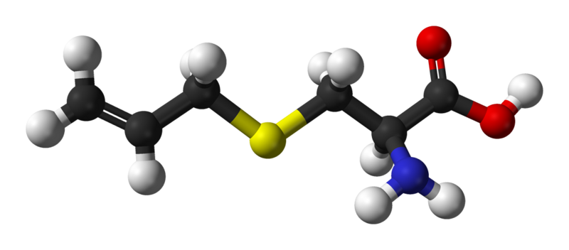 File:S-allyl-cysteine-3D-balls.png