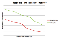 Schooling response time in face of predator.png