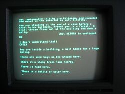 Monitor showing Colossal Cave Adventure