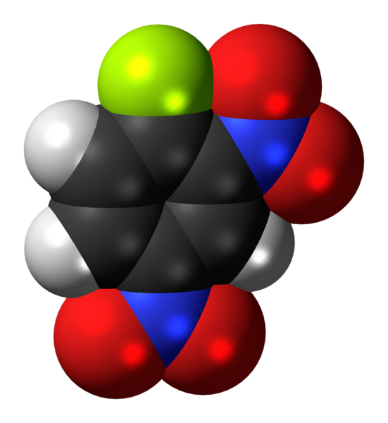 File:1-Fluoro-2,4-dinitrobenzene-3D-spacefill.png