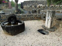 Capernaum roman olive press by David Shankbone.jpg