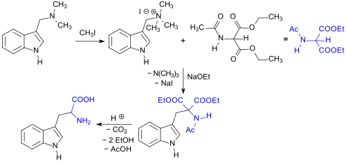 synthesis of rac-Trp
