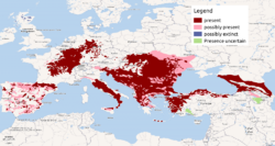 Distribution of the European wildcat.png