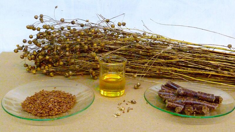 File:From flax to linseed oil..JPG