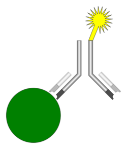 Immunoassay.svg