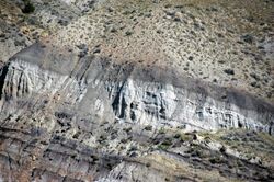 Meeteetse Formation (Upper Cretaceous; southeast of Meeteetse, Wyoming, USA) 20 (48911934516).jpg