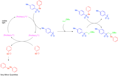 Addition of Tosylphenylselenide across an olefin