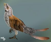 Sinornis2.jpg