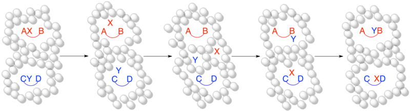 Solventcagelongfinal.png