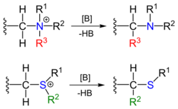 Stevens rearrangement overview.svg