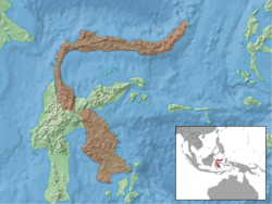 Taeromys celebensis distribution.png