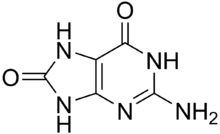 8-Oxoguanine.png