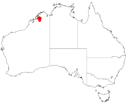 Acacia kimberleyensisDistMap496.png