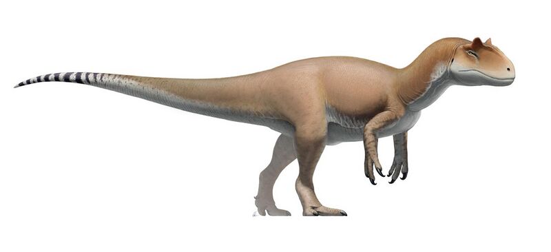 File:Allosaurus Revised.jpg