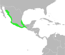 Bufo marmoreus distribution.svg