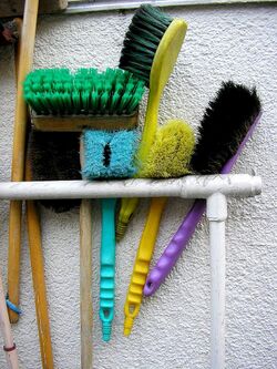Cleaning brushes.jpg