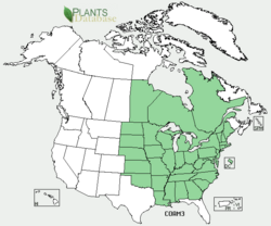 Corylus americana map.png