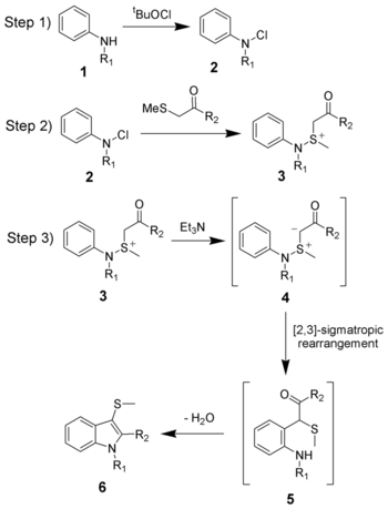 The reaction mechanism of the Gassman indole synthesis