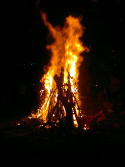 Holika dahan.jpg