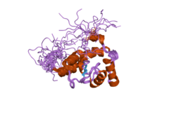 PDB 2crr EBI.png