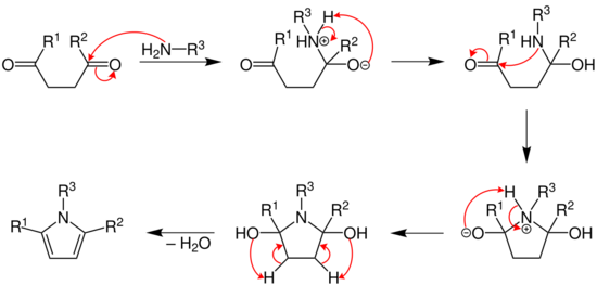 Paal–Knorr pyrrole synthesis mechanism