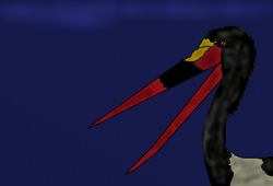 Palaeoephippiorhynchus edwardsi.png