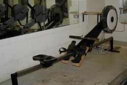 RowPerfect Indoor Rower.JPG